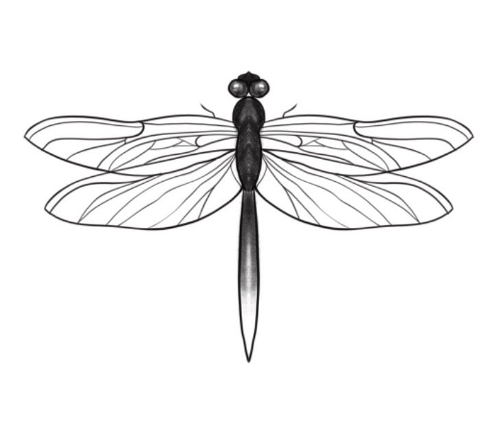 Dragonfly €125