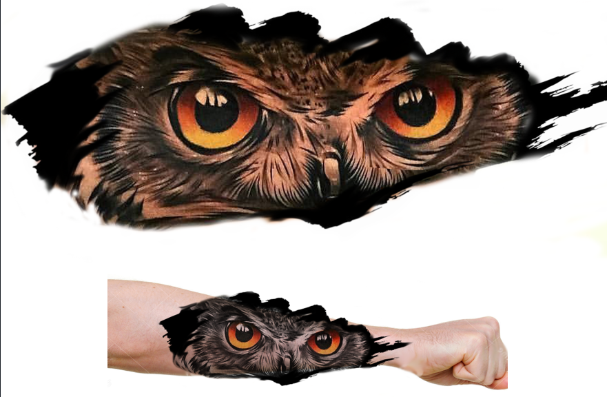 Owl Color €450