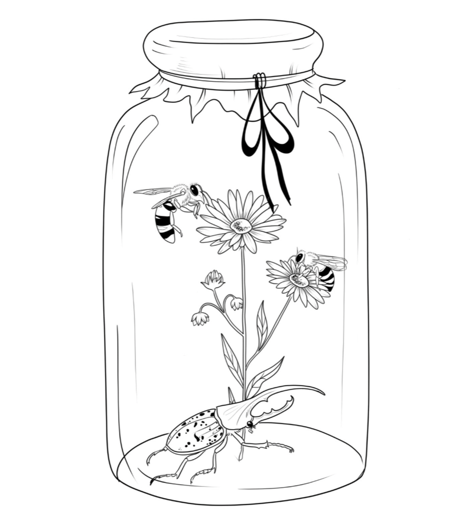 Jar Insects €225
